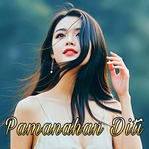 Pamanahan Diti