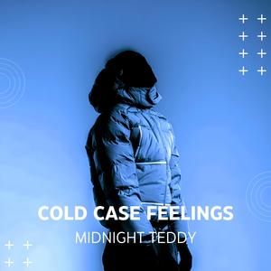 Cold Case Feelings