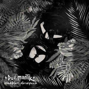 İstedikleri Olmayınca