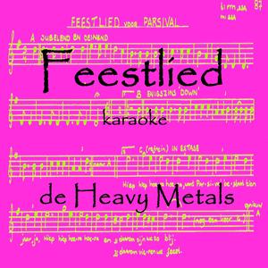 Feestlied (karaoke-versie)
