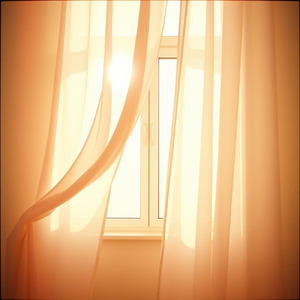 何しに来たんだっけ