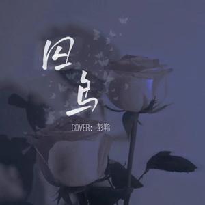 囚鸟（Cover：彭羚）