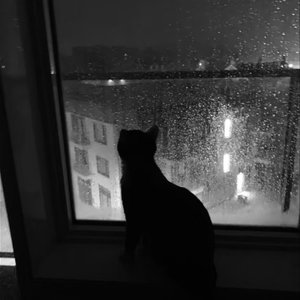 雨的哲学与泪之形而上学