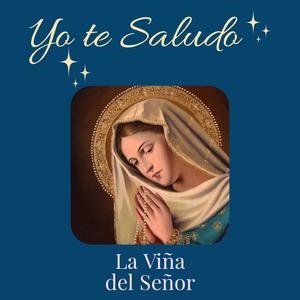 Yo te Saludo