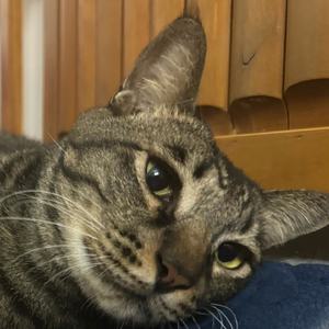 我有一辆白色电动车