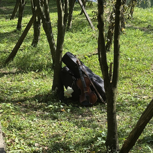 没有回忆的人才可怜