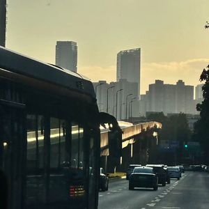 爱的相反面