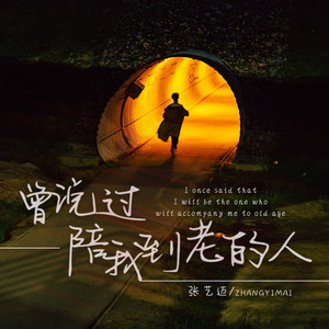 曾说陪我到老的人
