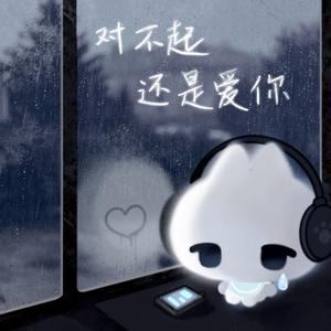 对不起还是爱你