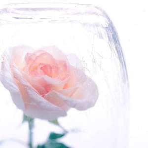 十里孤坟（伴奏）