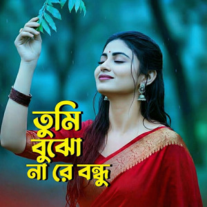 তুমি বুঝো না রে বন্ধু