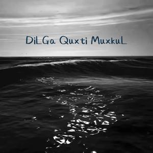 DilGa Quxti Muxkul 心碎的感觉