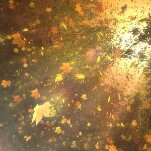 裂缝中的阳光（DJ阿透 Remix）