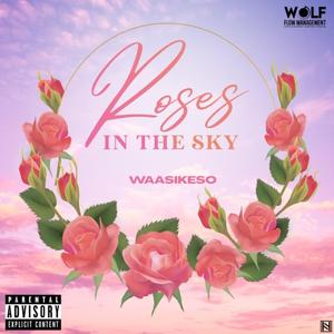 Roses In The Sky