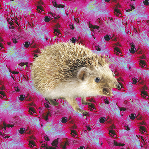 Bizarre Bizarre (interlude)