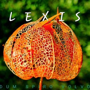 LEXIS