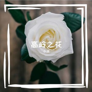 高岭之花