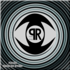 Project 027 (Original Mix)