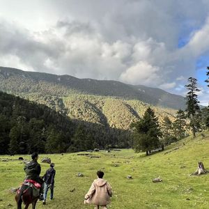 那就给你写首歌