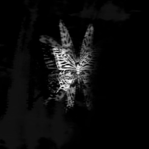 绝缘体（Prod by HZ MY)(2).wav