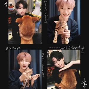 Dear D「非常非常温柔版」