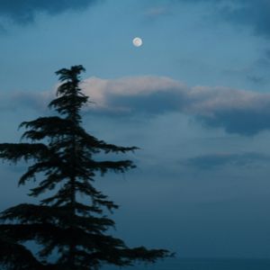 门德尔松 降E大调单簧管与钢琴奏鸣曲 II