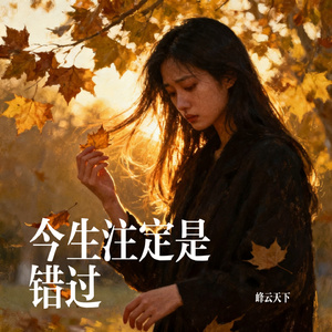 今生注定是错过