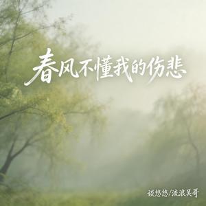 春风不懂我的伤悲(绝情对唱版)