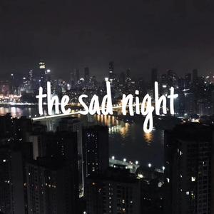 SynBlazer-悲伤的夜（Gurgle舒同 remix）