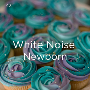 ホワイトノイズスリープ