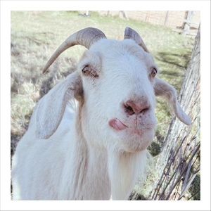 The Sun Comes Up Tomorrow