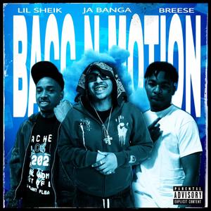 Bacc N Motion (feat. Breese & Lil Sheik)