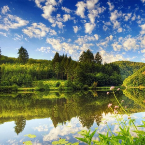 远方有一片海洋