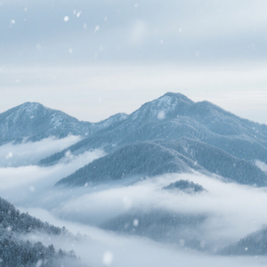 暴风雨前的宁静