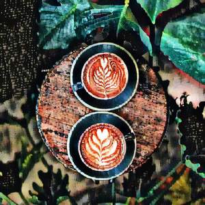 Honey, I'm Not Sorry