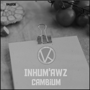 Cambium