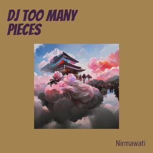 Dj Too Many Pieces