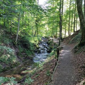 Ότι σε πονά σε χτίζει ξανά