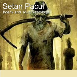 Setan Pacul