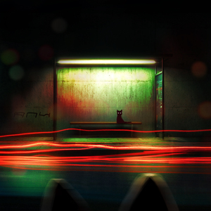 Я звонил и узнавал