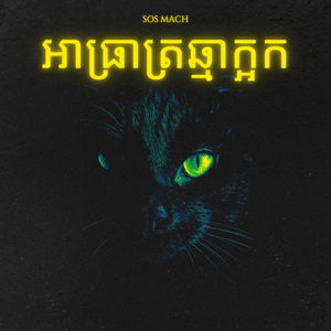 អាធ្រាត្រឆ្មាក្អក