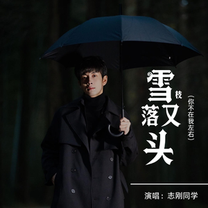 雪又落枝头 (你不在我左右)（伴奏）