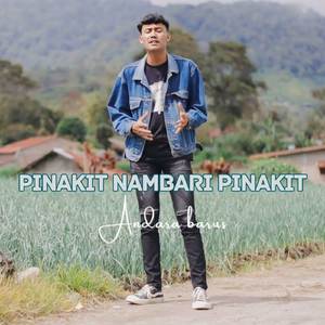 Pinakit Nambari Pinakit