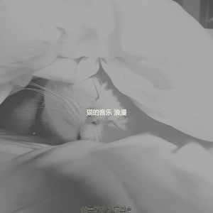 精彩压力大的猫环境