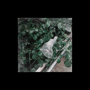 请你做我的男孩