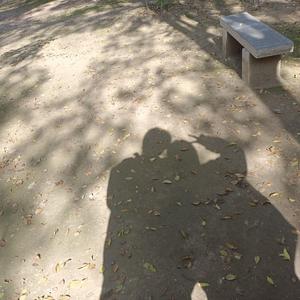 DemoH(prod by Rising Beat)