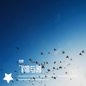 飞鸟与鸦