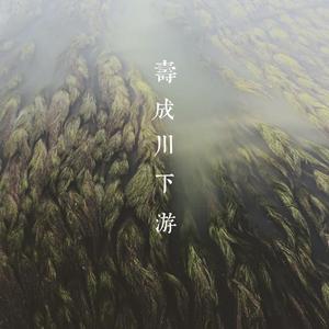 寿成川下游(伴奏)