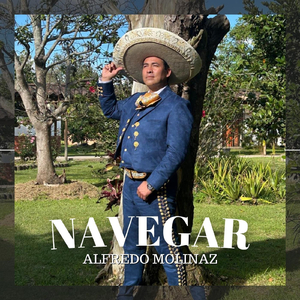 Navegar