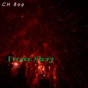Frozen Story